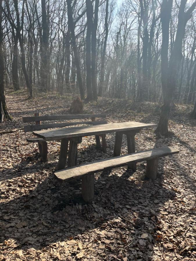 Apartmani Marija Vrdnik Bagian luar foto